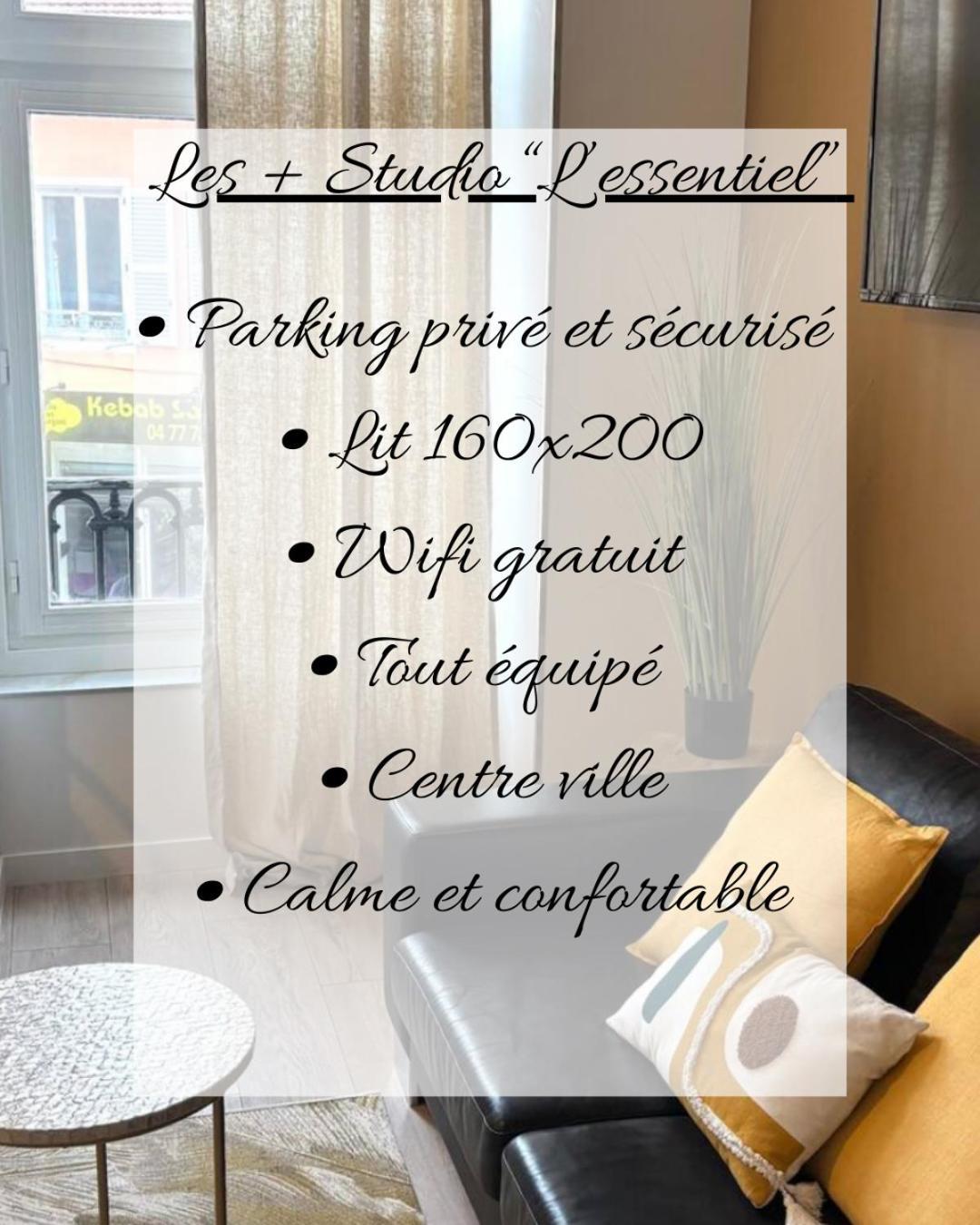 Roanne - Le Studio 103 Extérieur photo